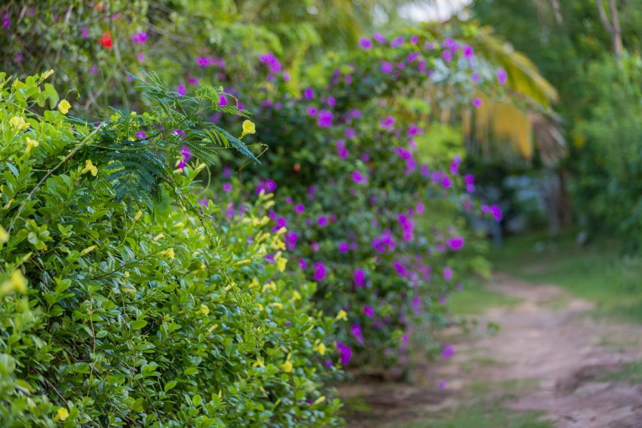 Rock Violet Lakefront Cabanas & Restaurent Tangalle Eksteriør bilde