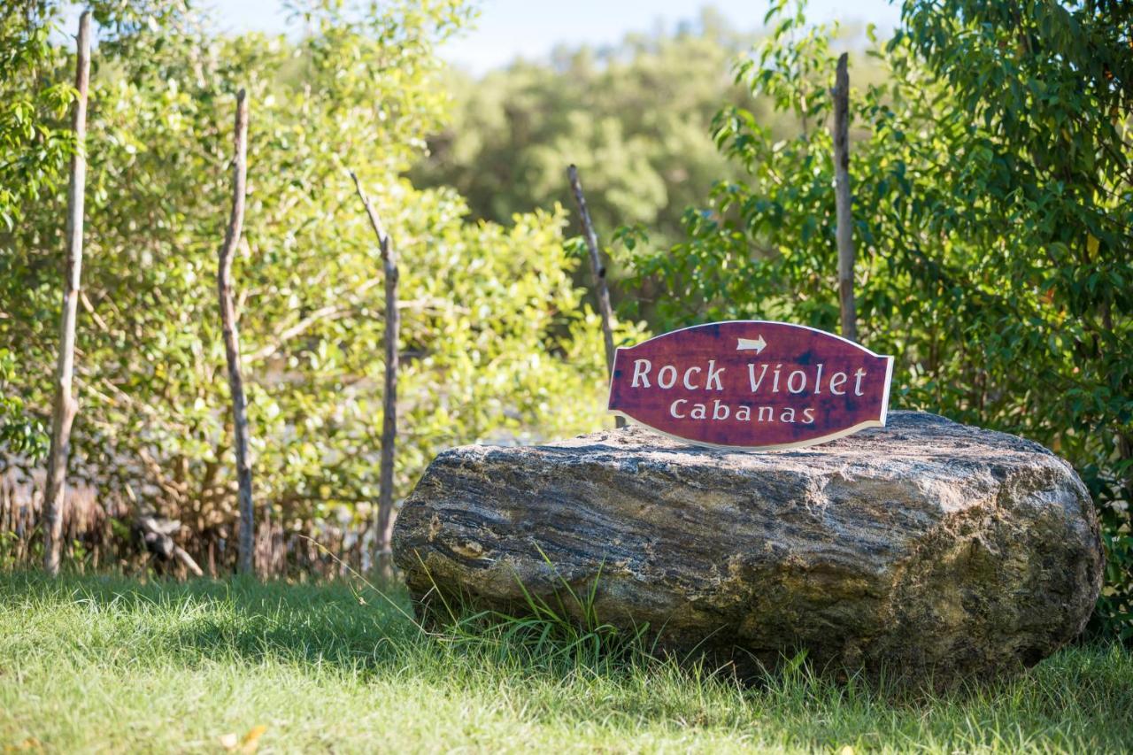 Rock Violet Lakefront Cabanas & Restaurent Tangalle Eksteriør bilde